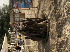Name:  D8556378-B569-4146-B65D-40A4CE91F713.jpg
Views: 451
Size:  20.7 KB
