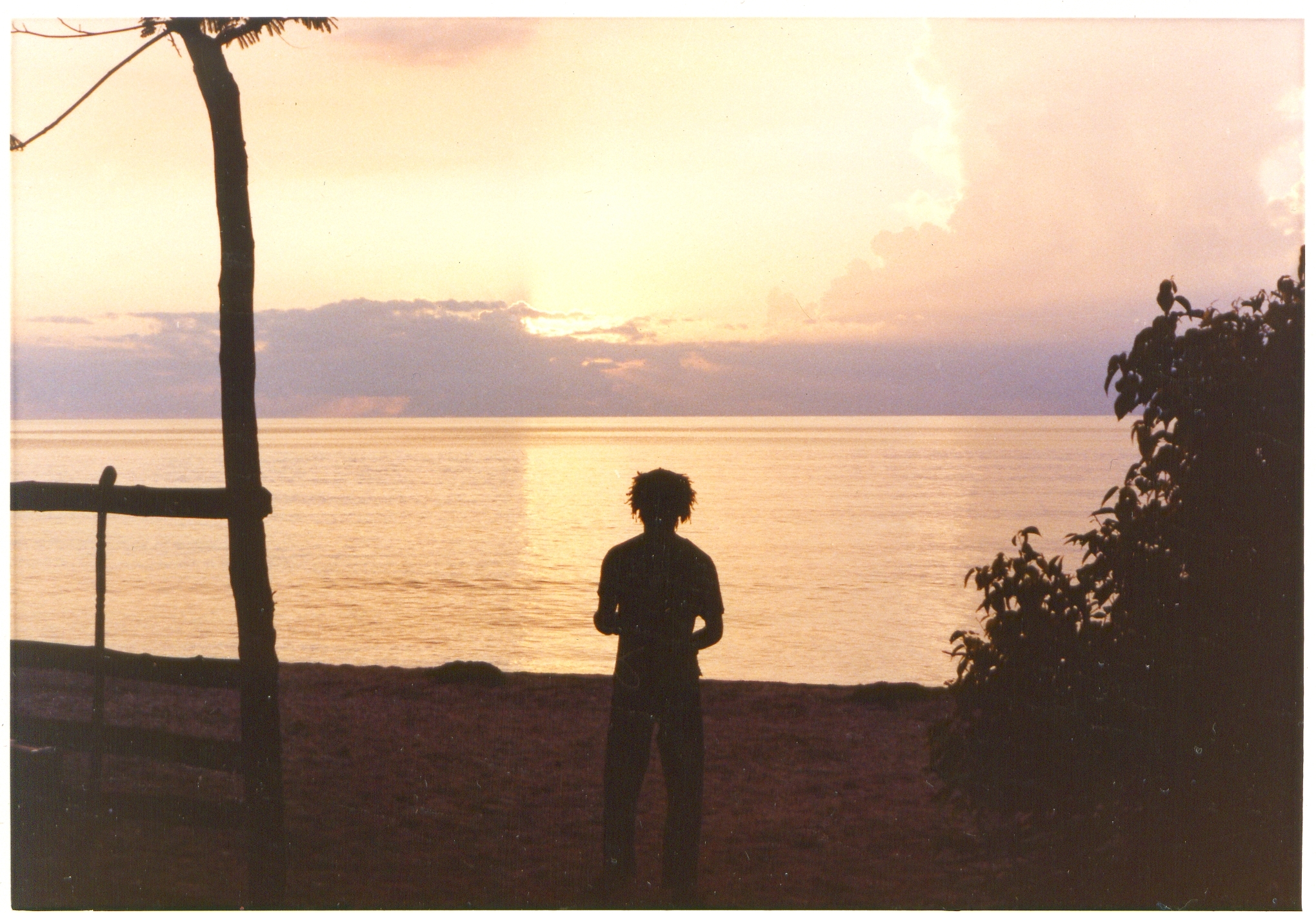 Name:  Natty Sunset.JPG
Views: 1704
Size:  2.18 MB