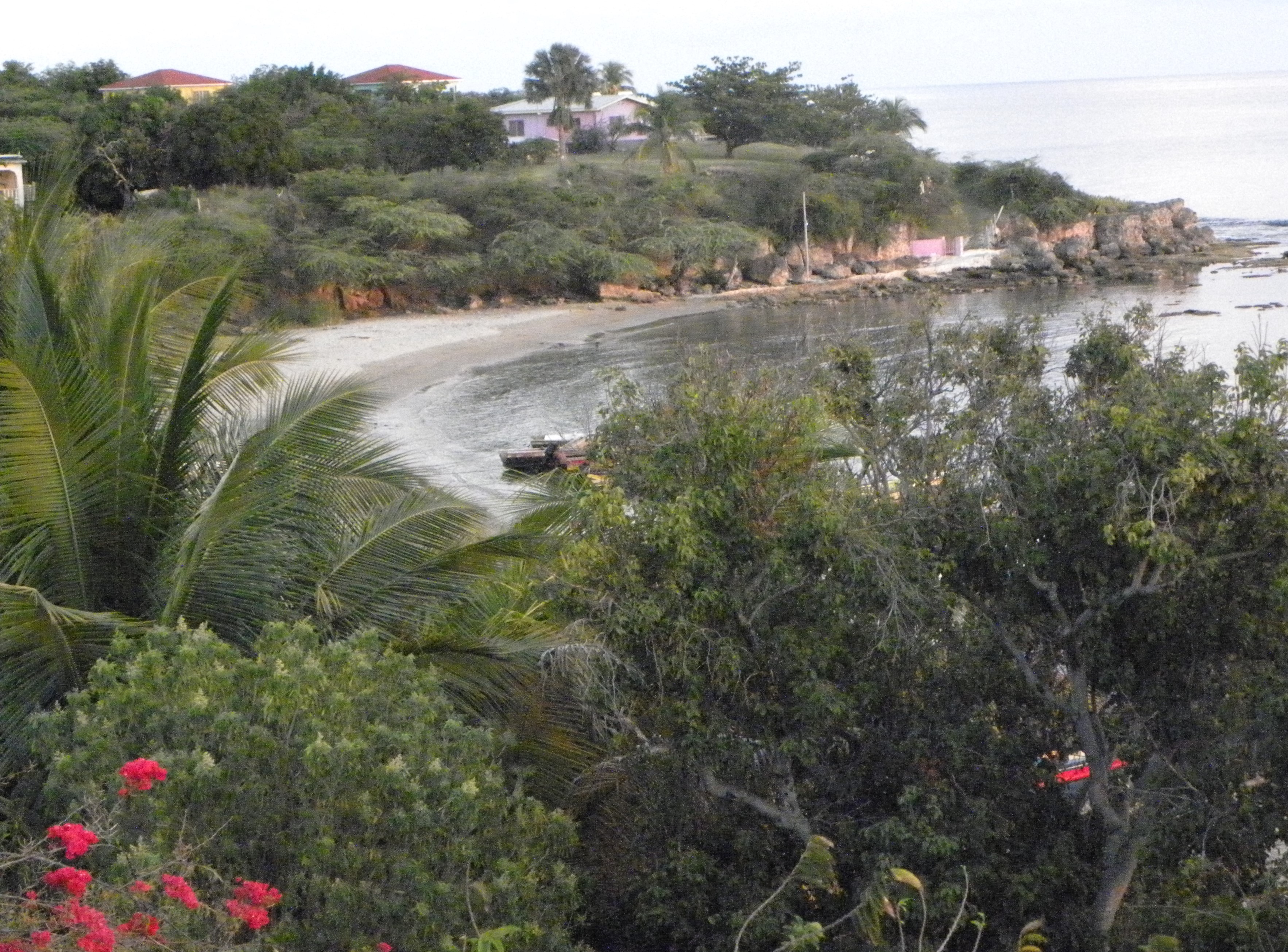 Name:  Jamaica 2012 2.jpg
Views: 1159
Size:  2.29 MB