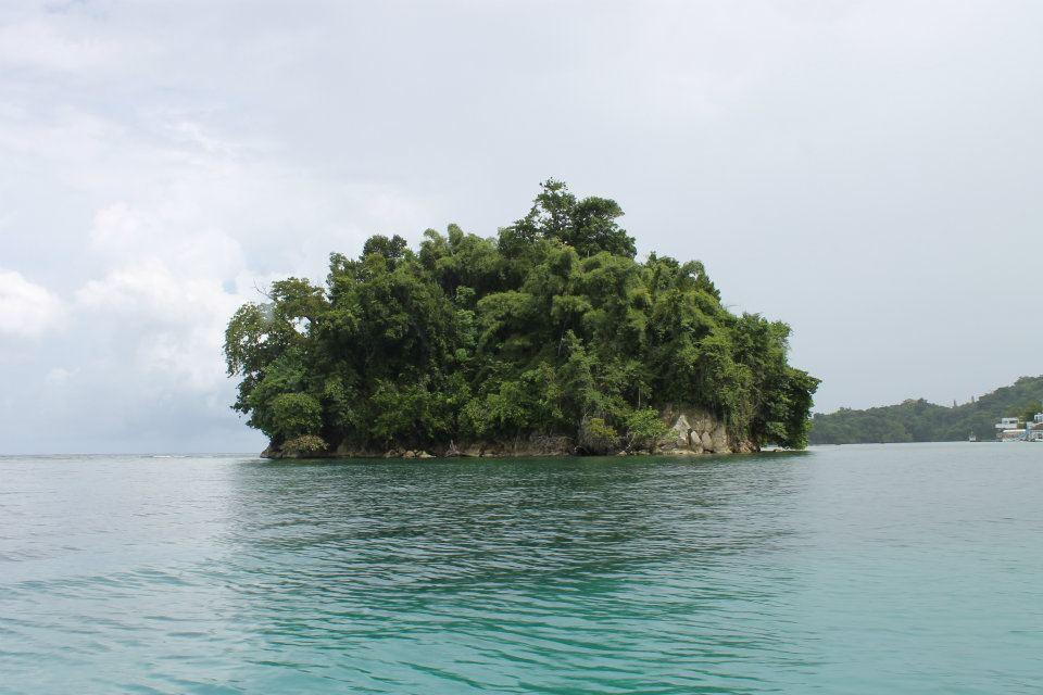 Name:  MonkeyIsland.JPG
Views: 915
Size:  77.7 KB