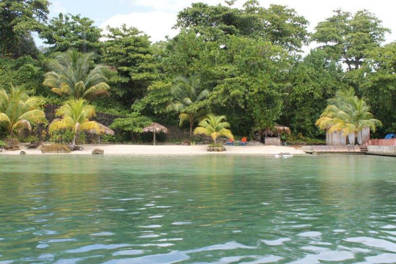 Name:  CocktailBeach.jpg
Views: 731
Size:  99.0 KB