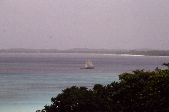 Name:  Negril Beach Vista.JPG
Views: 584
Size:  167.8 KB