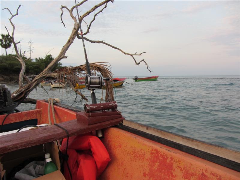Name:  Boat (Medium).JPG
Views: 3368
Size:  71.1 KB