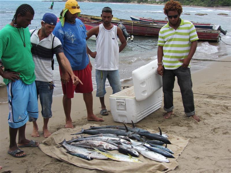 Name:  catch (Medium).JPG
Views: 3186
Size:  93.4 KB