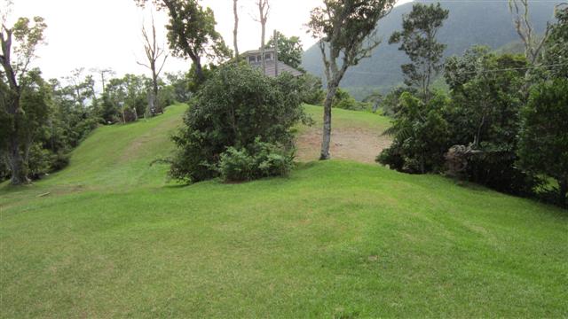 Name:  lawn.JPG
Views: 5837
Size:  48.5 KB