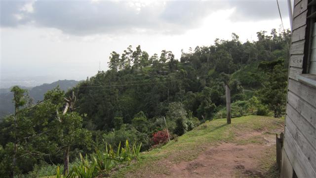 Name:  view.JPG
Views: 5108
Size:  41.5 KB