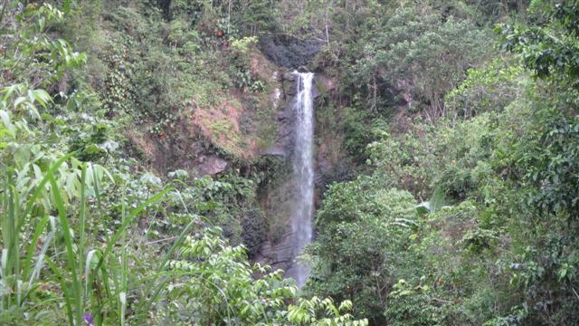 Name:  shower.JPG
Views: 6508
Size:  72.5 KB