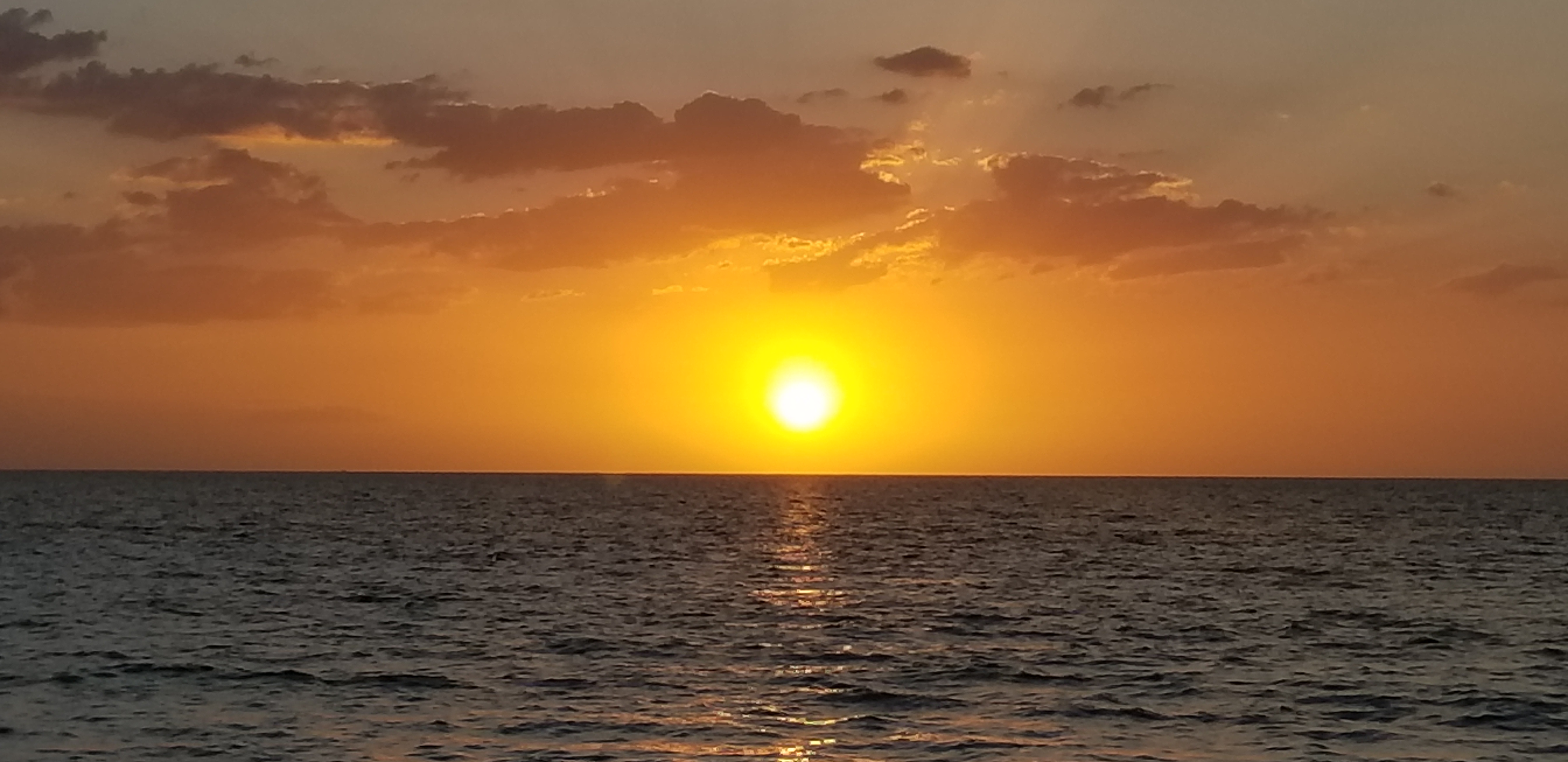 Name:  2019  (221).jpg
Views: 949
Size:  1.29 MB