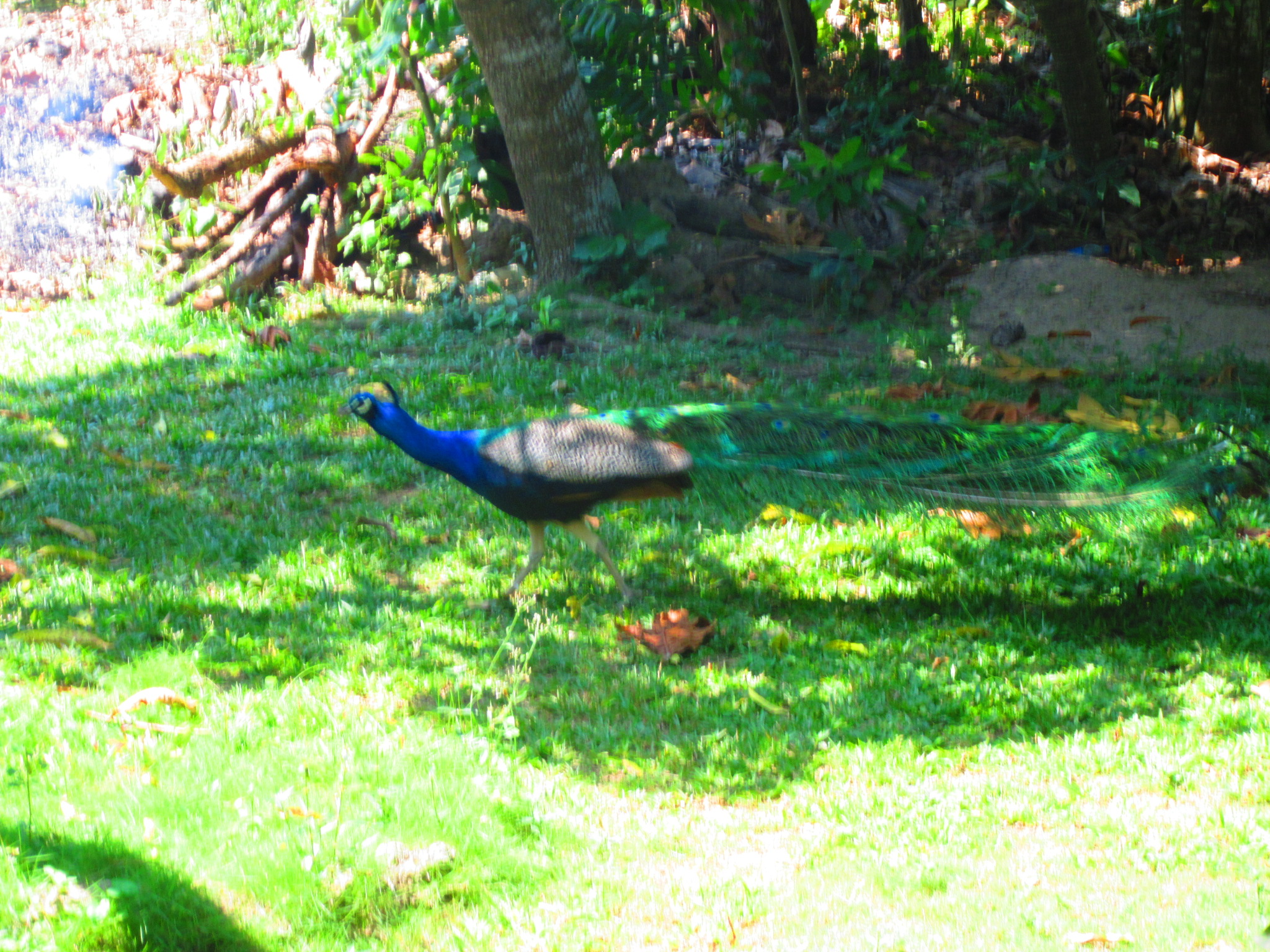Name:  20190401140556.JPG
Views: 1321
Size:  1.19 MB