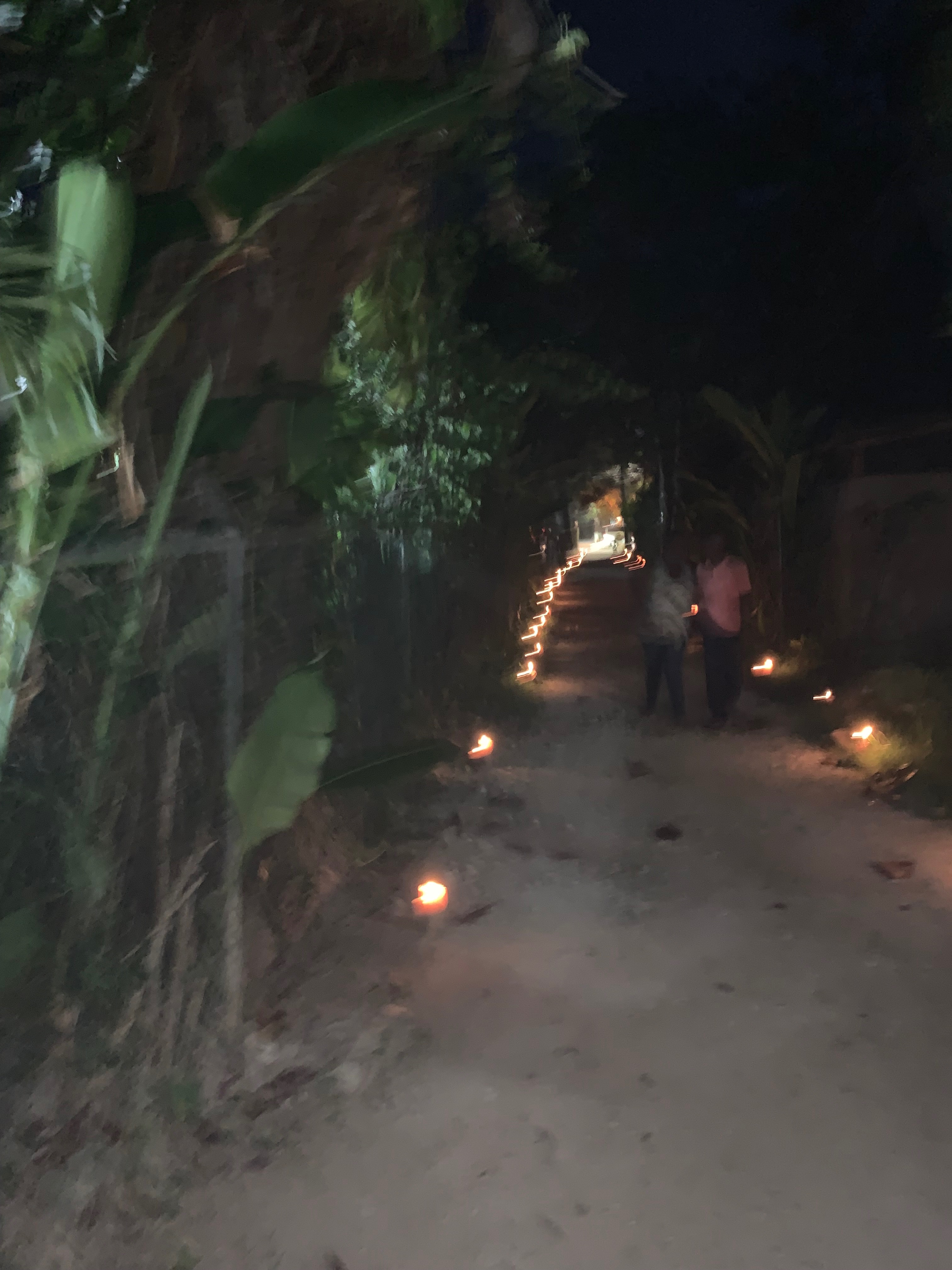 Name:  candlelight1.jpg
Views: 982
Size:  1.79 MB