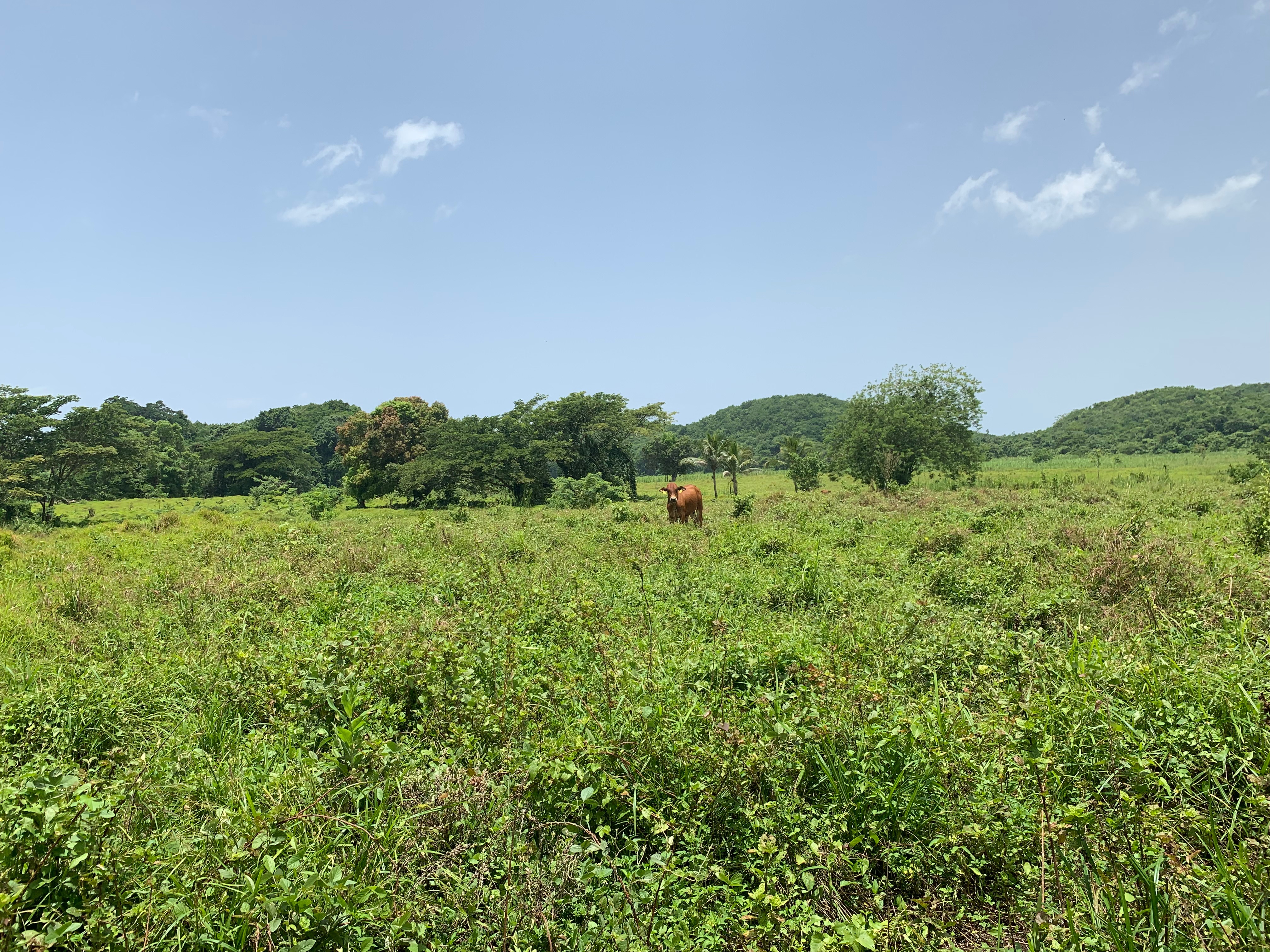 Name:  land.jpg
Views: 2153
Size:  4.26 MB