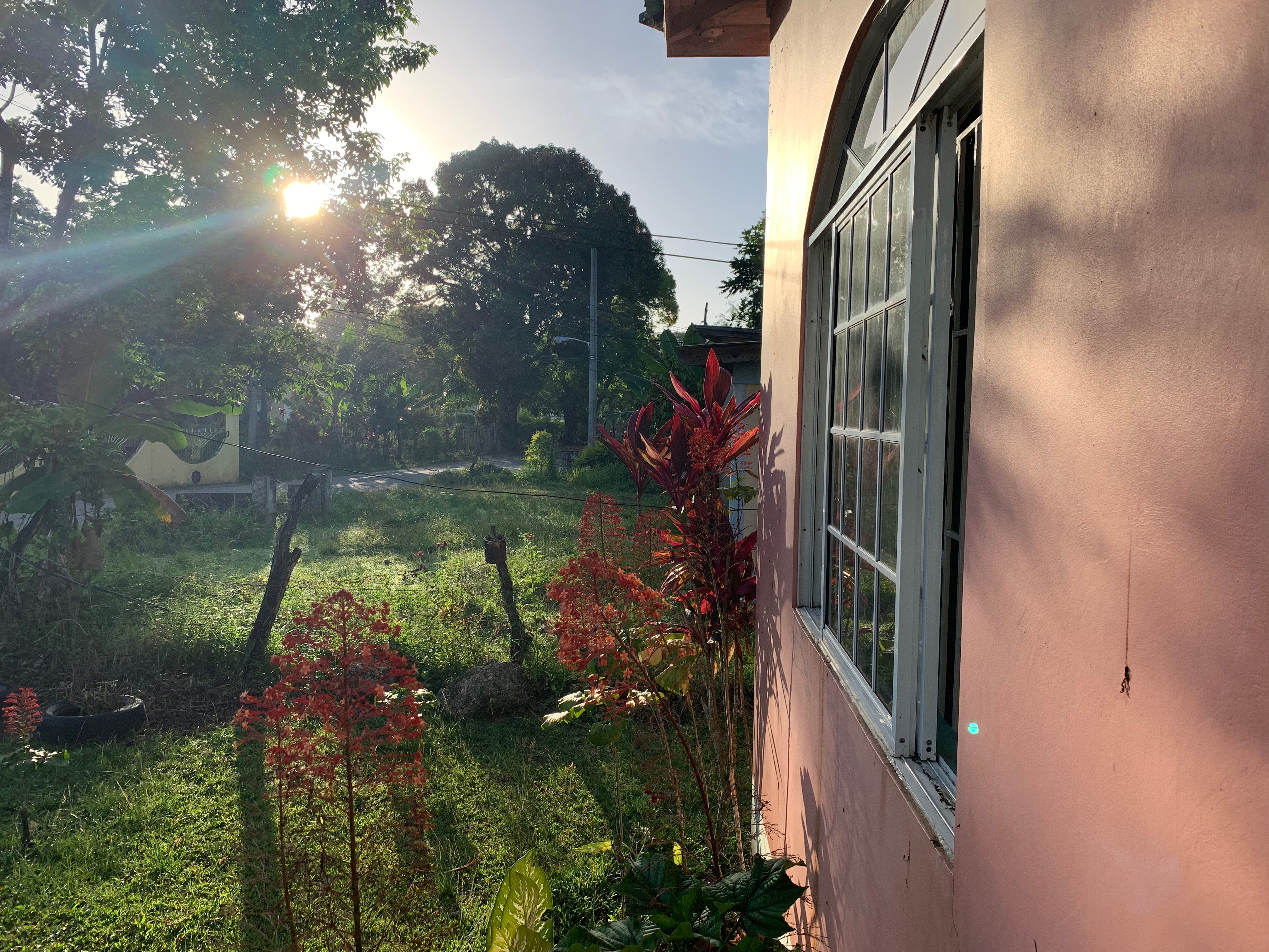 Name:  outside.jpg
Views: 2157
Size:  3.92 MB