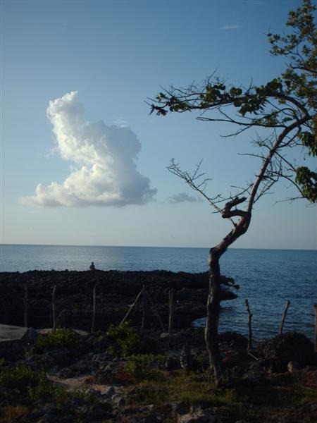 Name:  The Cloud (Medium).jpg
Views: 460
Size:  37.8 KB