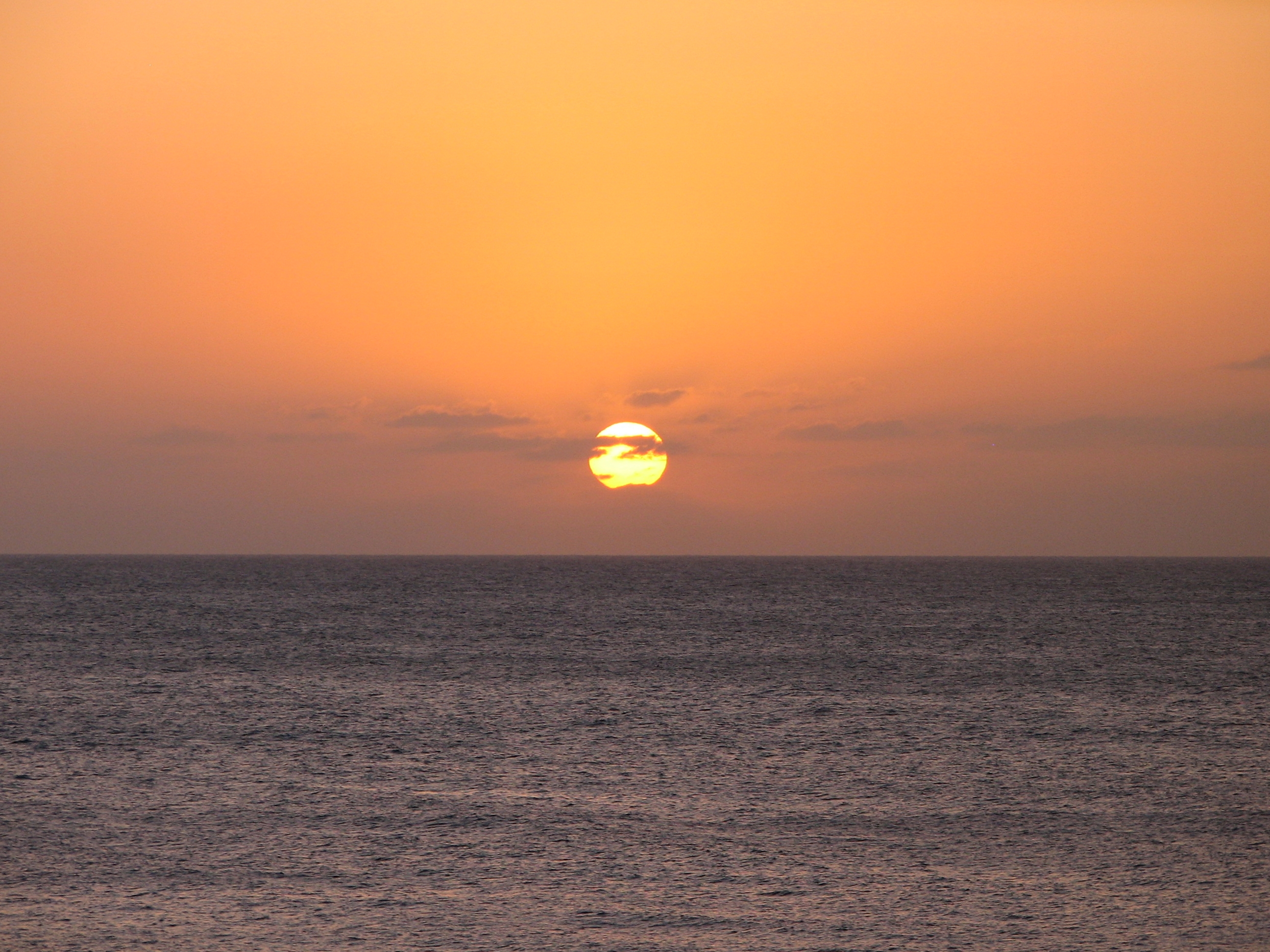 Name:  1 (58).jpg
Views: 1354
Size:  2.86 MB