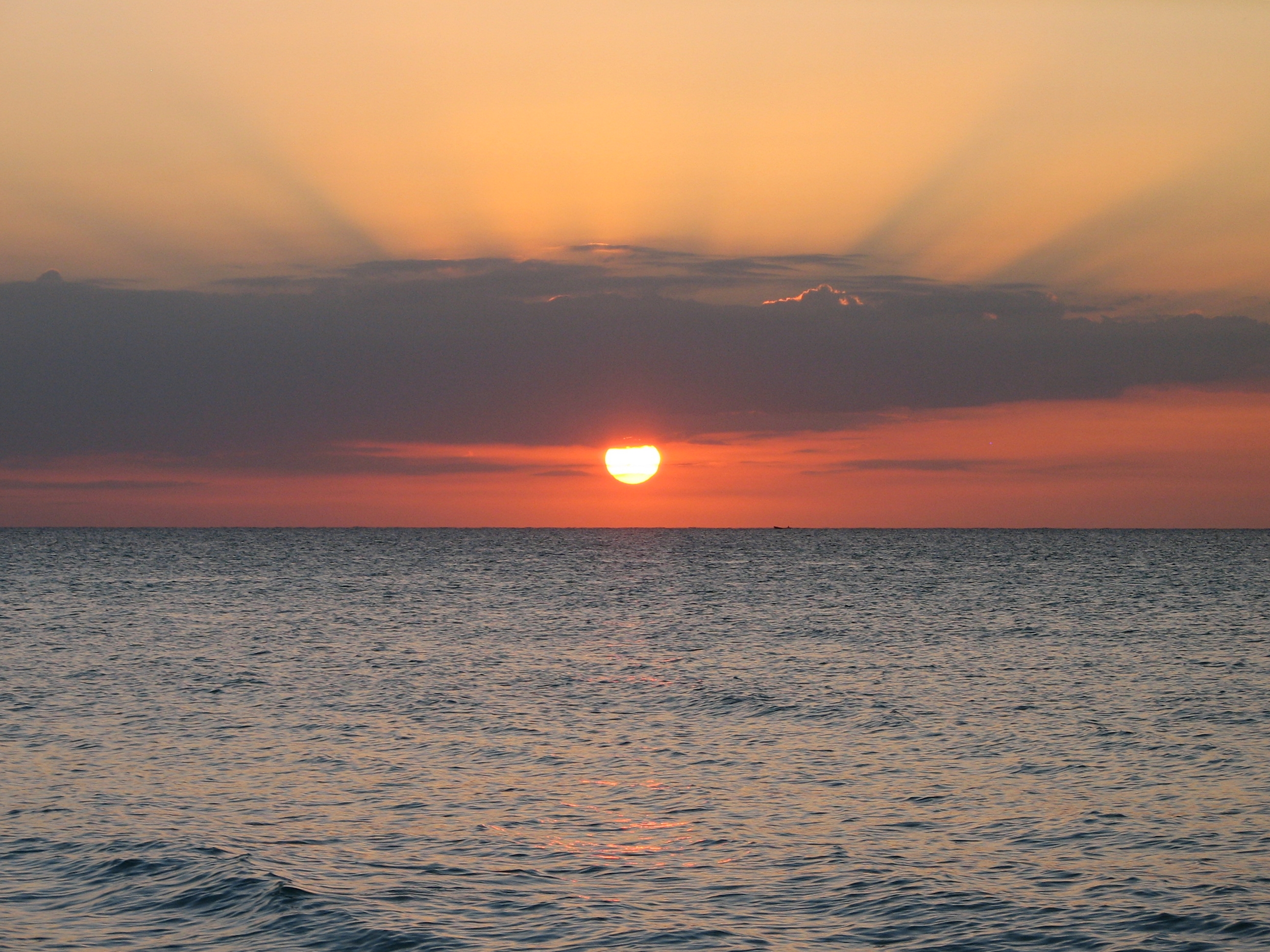 Name:  1 (161).jpg
Views: 1304
Size:  3.08 MB