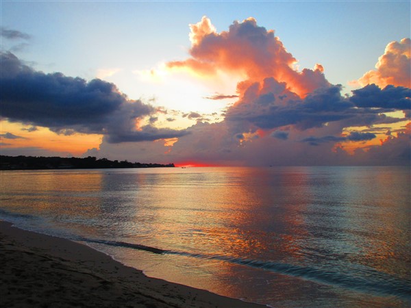 Name:  IMG_1145.jpg
Views: 742
Size:  62.8 KB