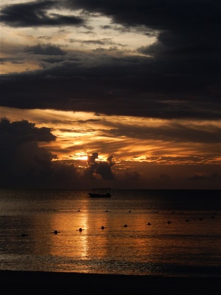 Name:  DSCN1553.jpg
Views: 478
Size:  65.4 KB