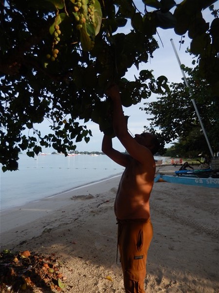 Name:  DSCN1635.jpg
Views: 314
Size:  104.2 KB