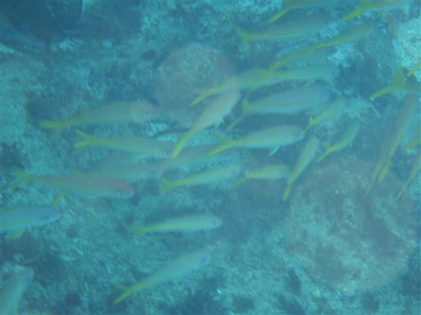 Name:  DSCN1026.jpg
Views: 693
Size:  47.9 KB