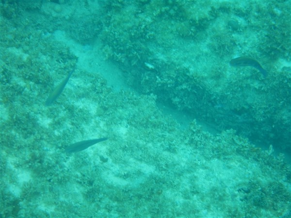 Name:  DSCN1066.jpg
Views: 692
Size:  68.6 KB