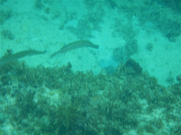 Name:  DSCN1106.jpg
Views: 664
Size:  52.1 KB