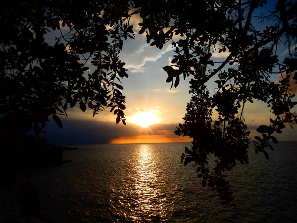 Name:  DSCN1968.jpg
Views: 637
Size:  88.2 KB