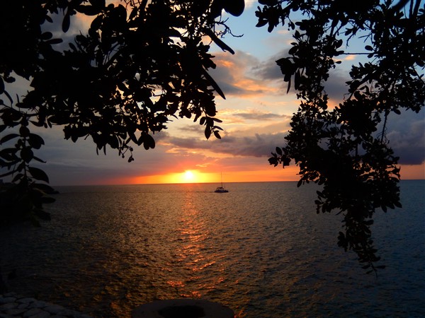 Name:  DSCN1985.jpg
Views: 623
Size:  88.7 KB