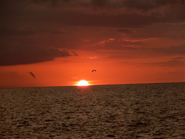 Name:  DSCN1996.jpg
Views: 619
Size:  53.5 KB