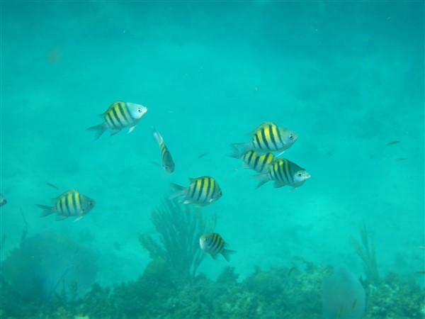 Name:  DSCN1175.jpg
Views: 611
Size:  33.4 KB