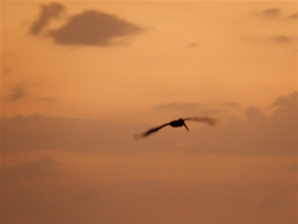 Name:  DSCN2149.jpg
Views: 590
Size:  22.3 KB