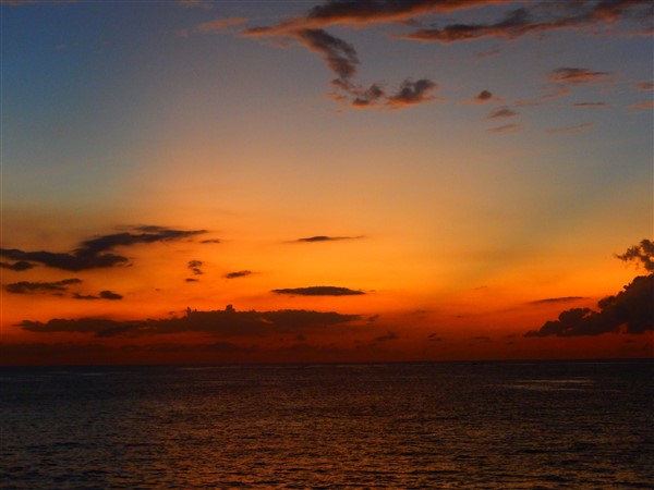 Name:  DSCN2164.jpg
Views: 588
Size:  45.5 KB