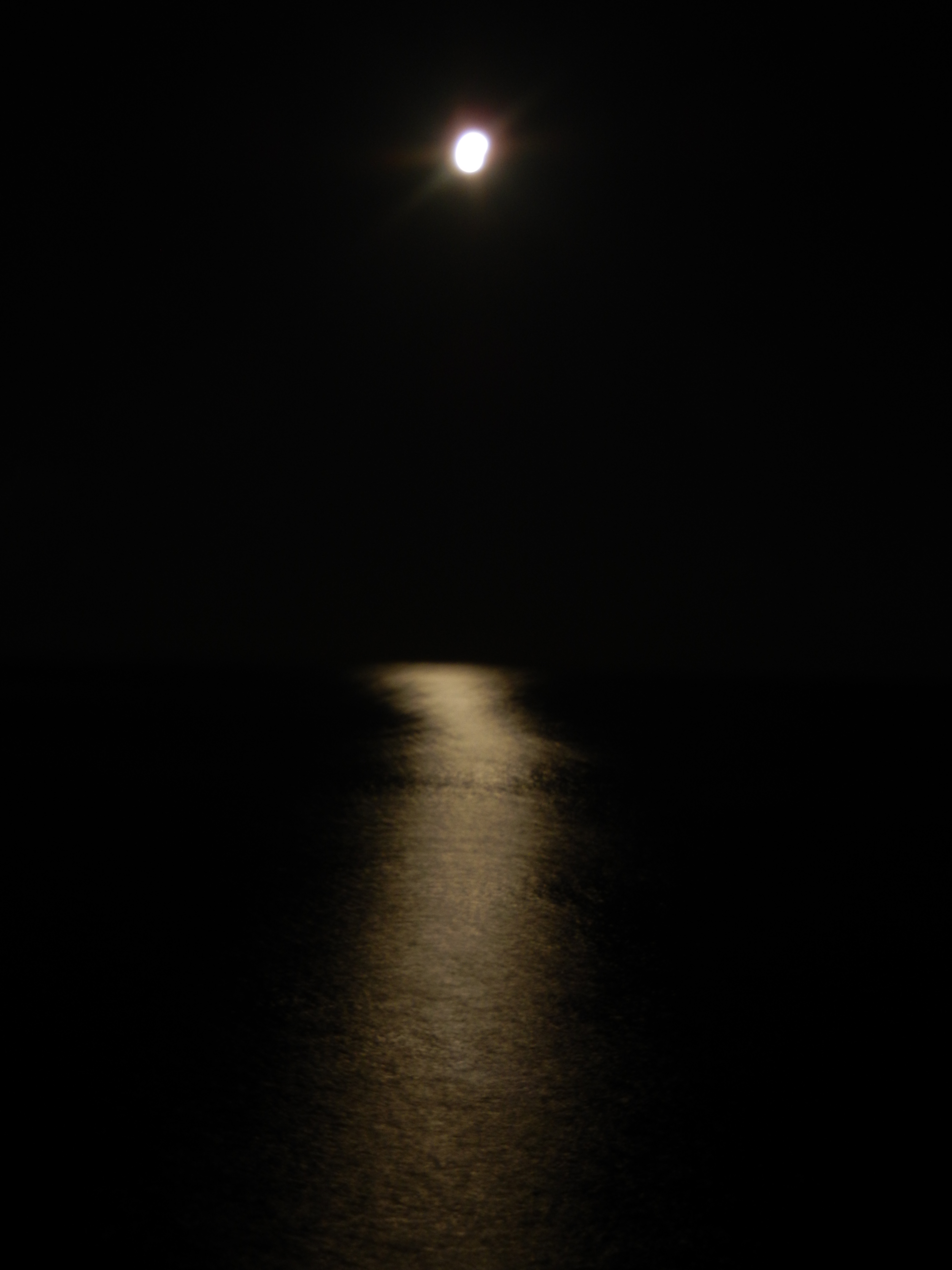 Name:  DSCN2428.JPG
Views: 774
Size:  2.66 MB