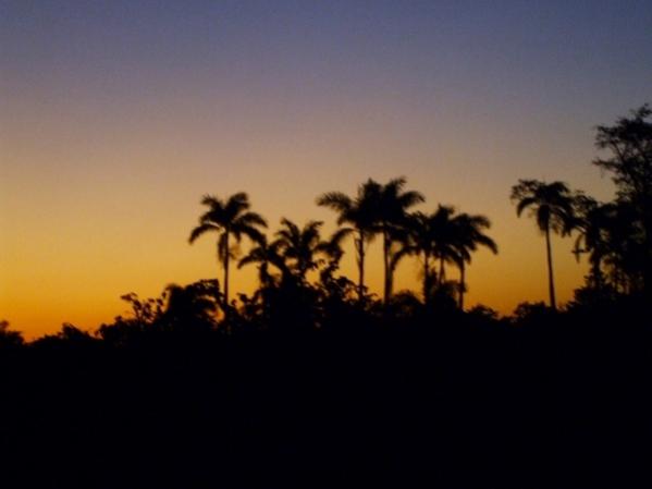 Name:  good morning negril (2) (600x450).jpg
Views: 973
Size:  17.9 KB