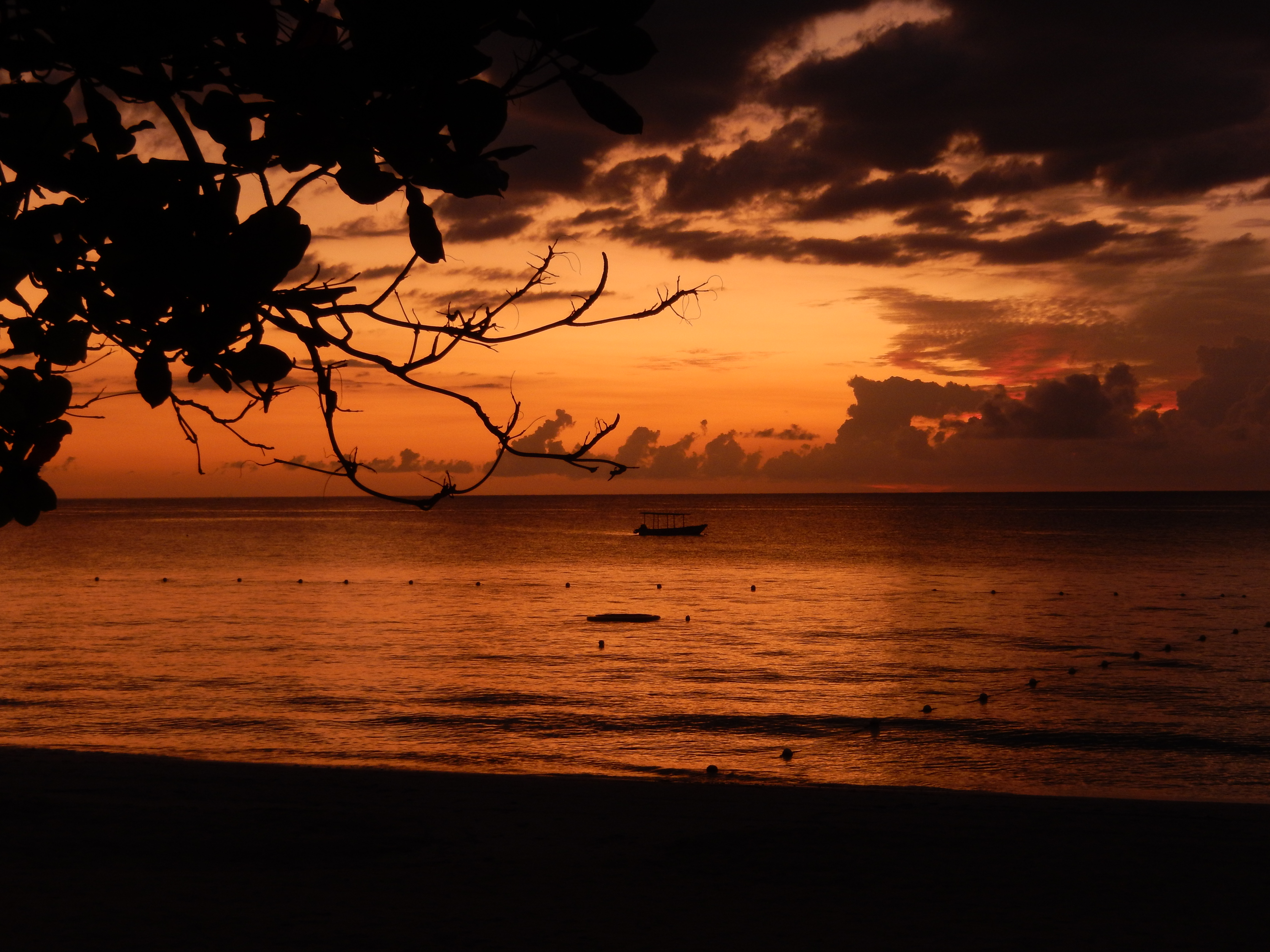Name:  DSCN1495.JPG
Views: 759
Size:  3.39 MB