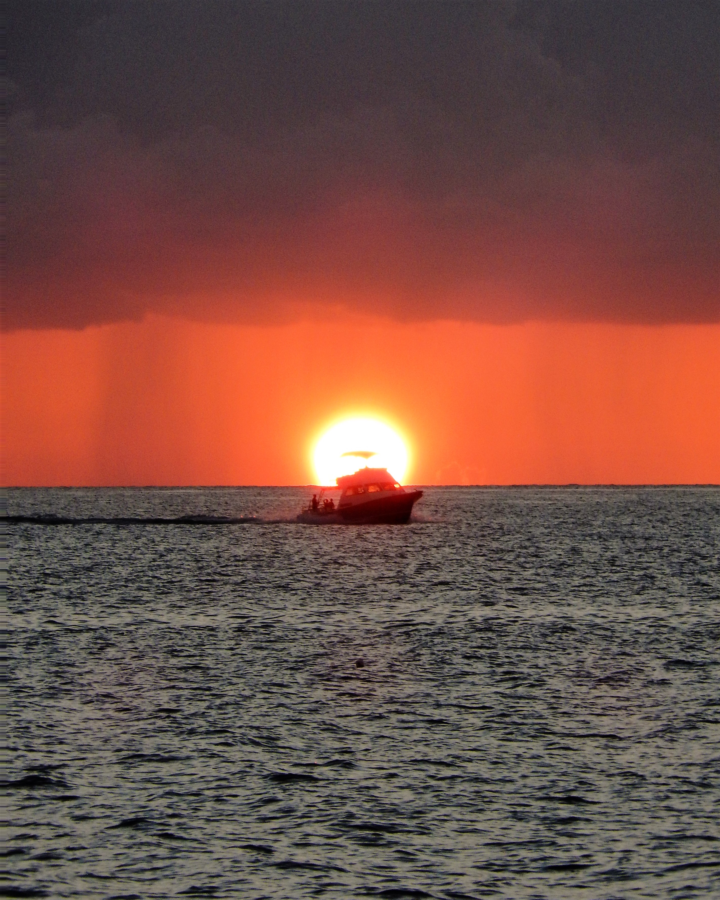 Name:  DSCN1753.JPG
Views: 626
Size:  2.52 MB