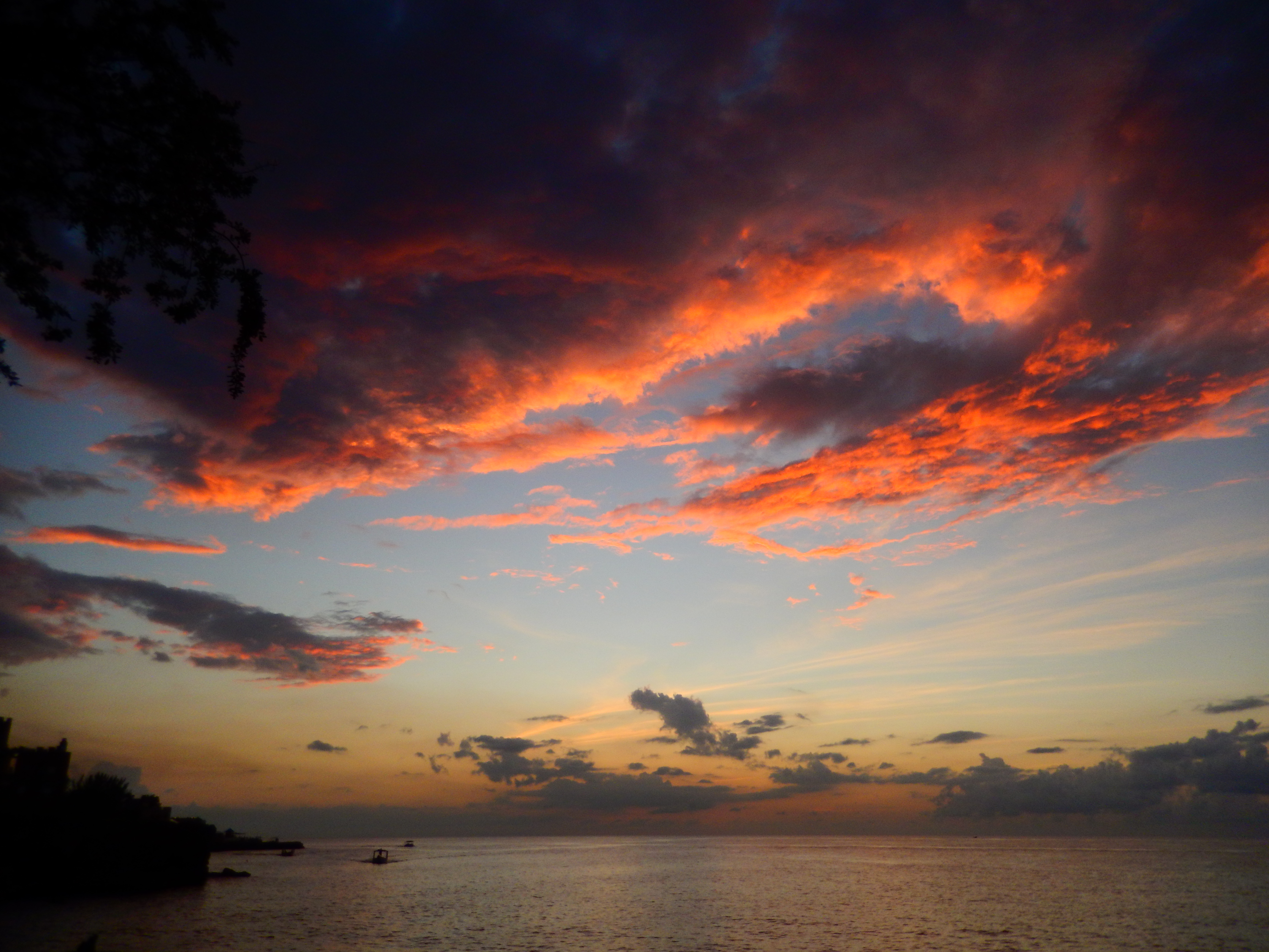 Name:  DSCN2128.JPG
Views: 717
Size:  3.39 MB