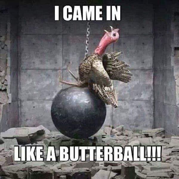 Name:  turkey.jpg
Views: 470
Size:  44.9 KB
