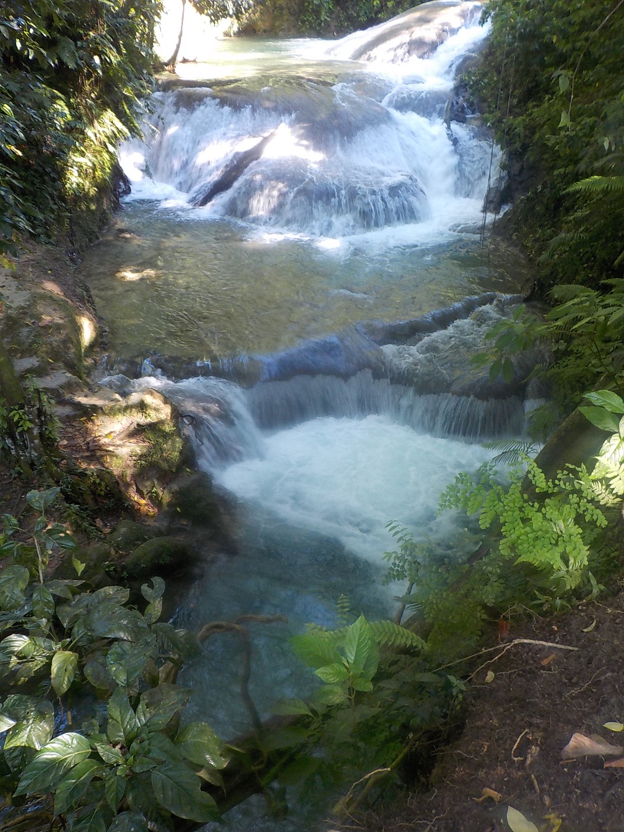 Name:  012.jpg
Views: 2032
Size:  514.3 KB