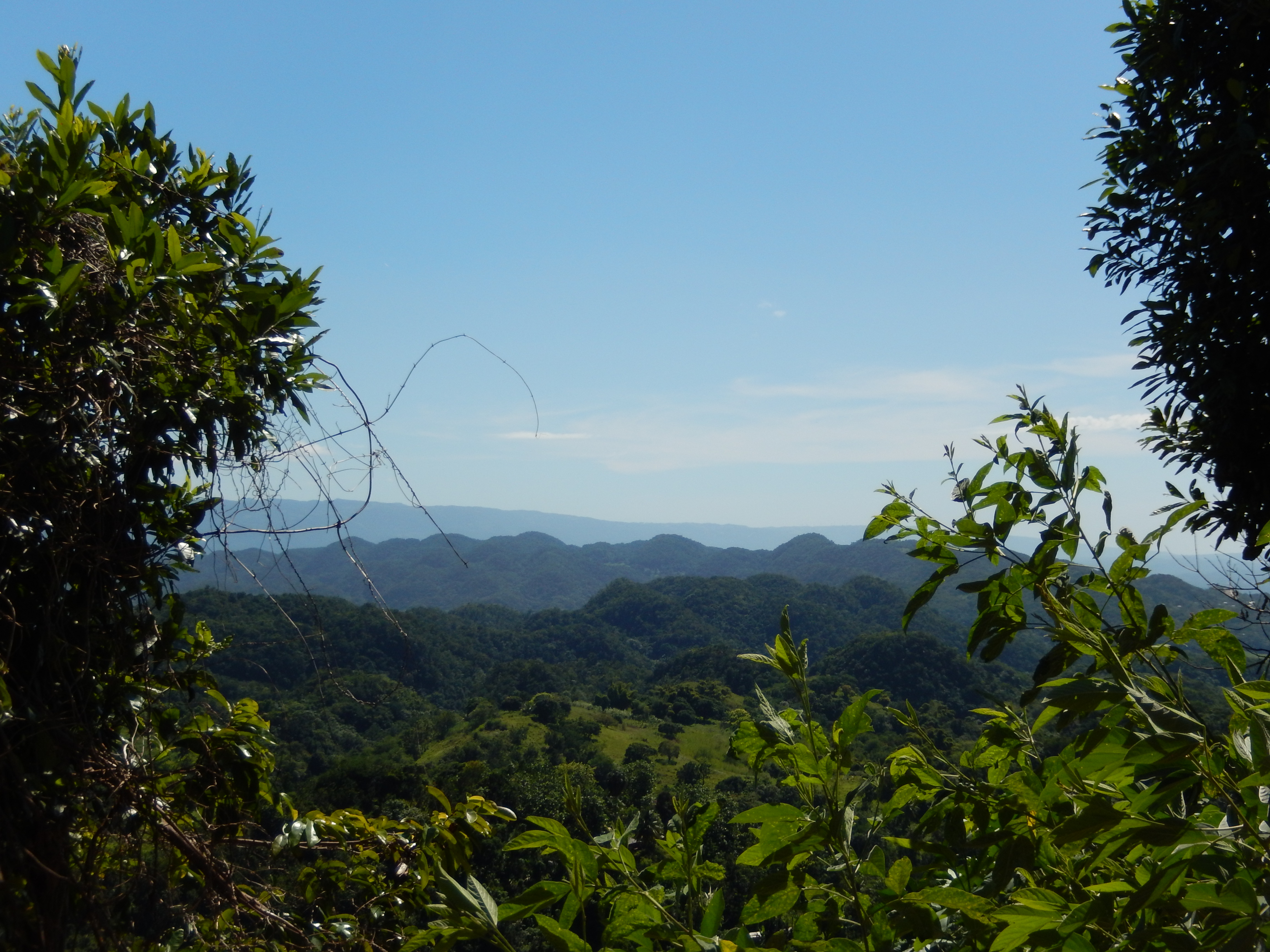 Name:  DSCN1785.JPG
Views: 2423
Size:  3.20 MB