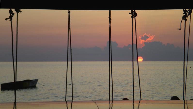 Name:  On the Ropes.jpg
Views: 924
Size:  32.0 KB