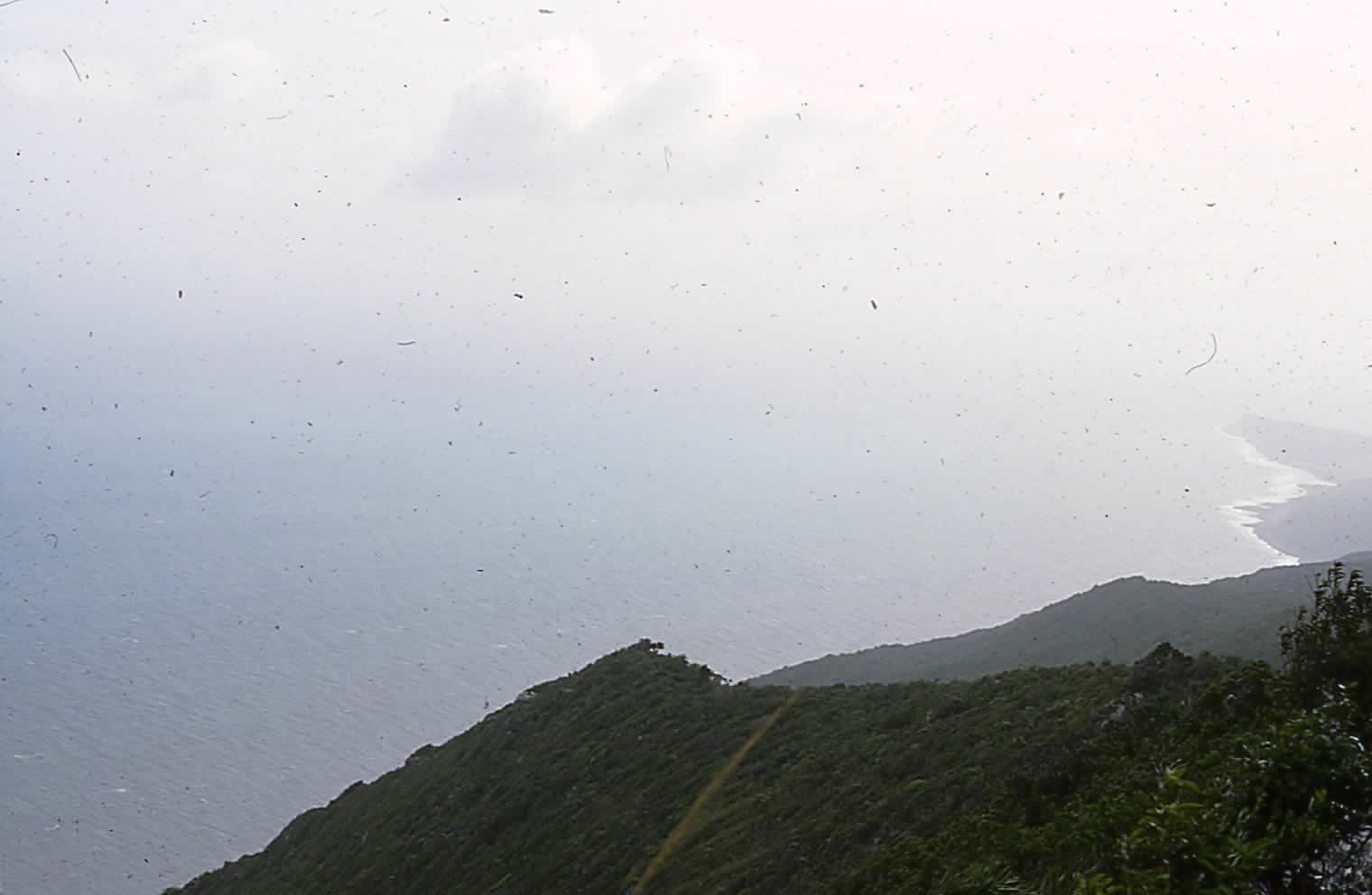 Name:  EPSON024.JPG
Views: 14112
Size:  206.9 KB