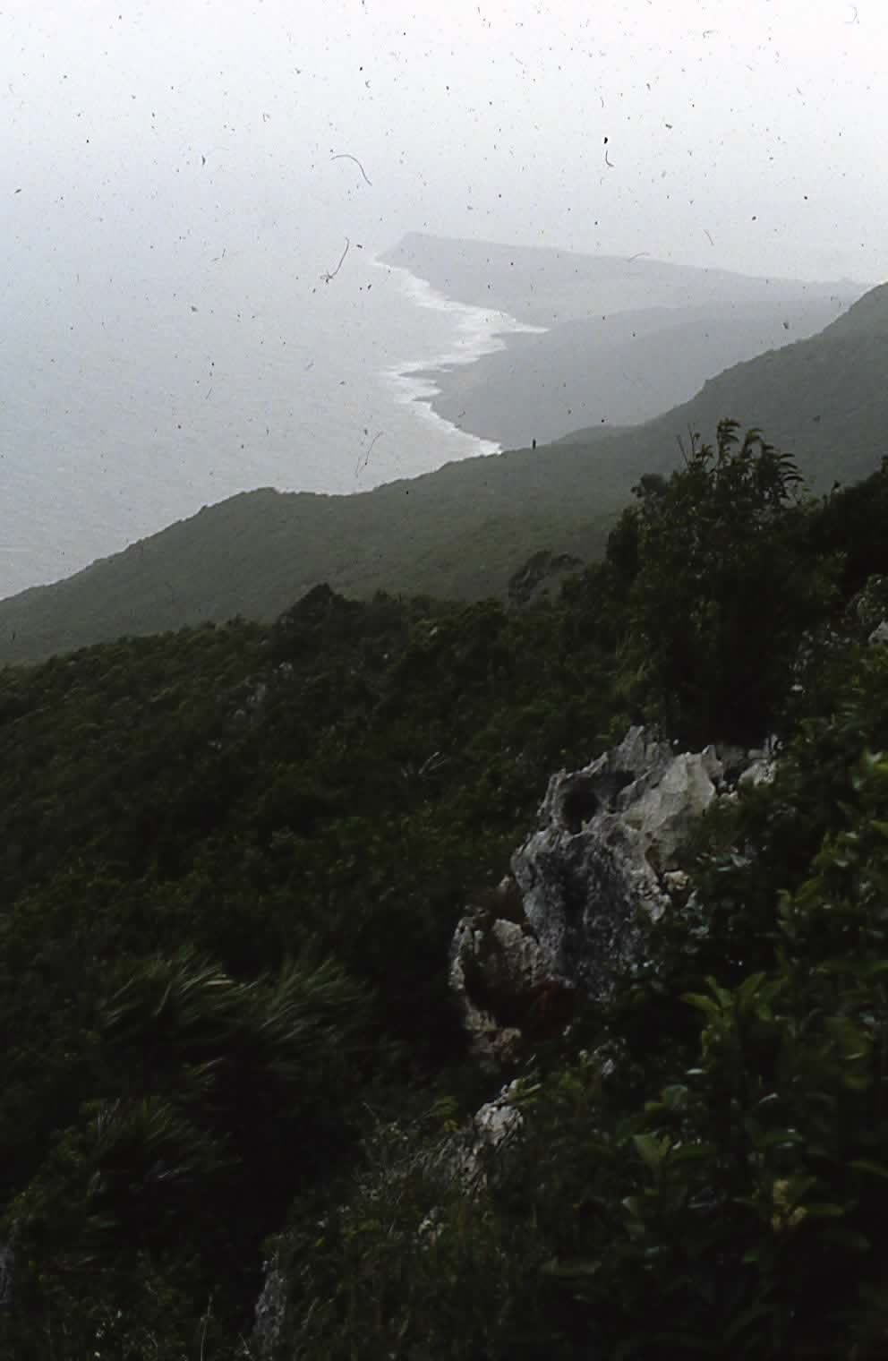 Name:  EPSON048.JPG
Views: 13806
Size:  248.5 KB