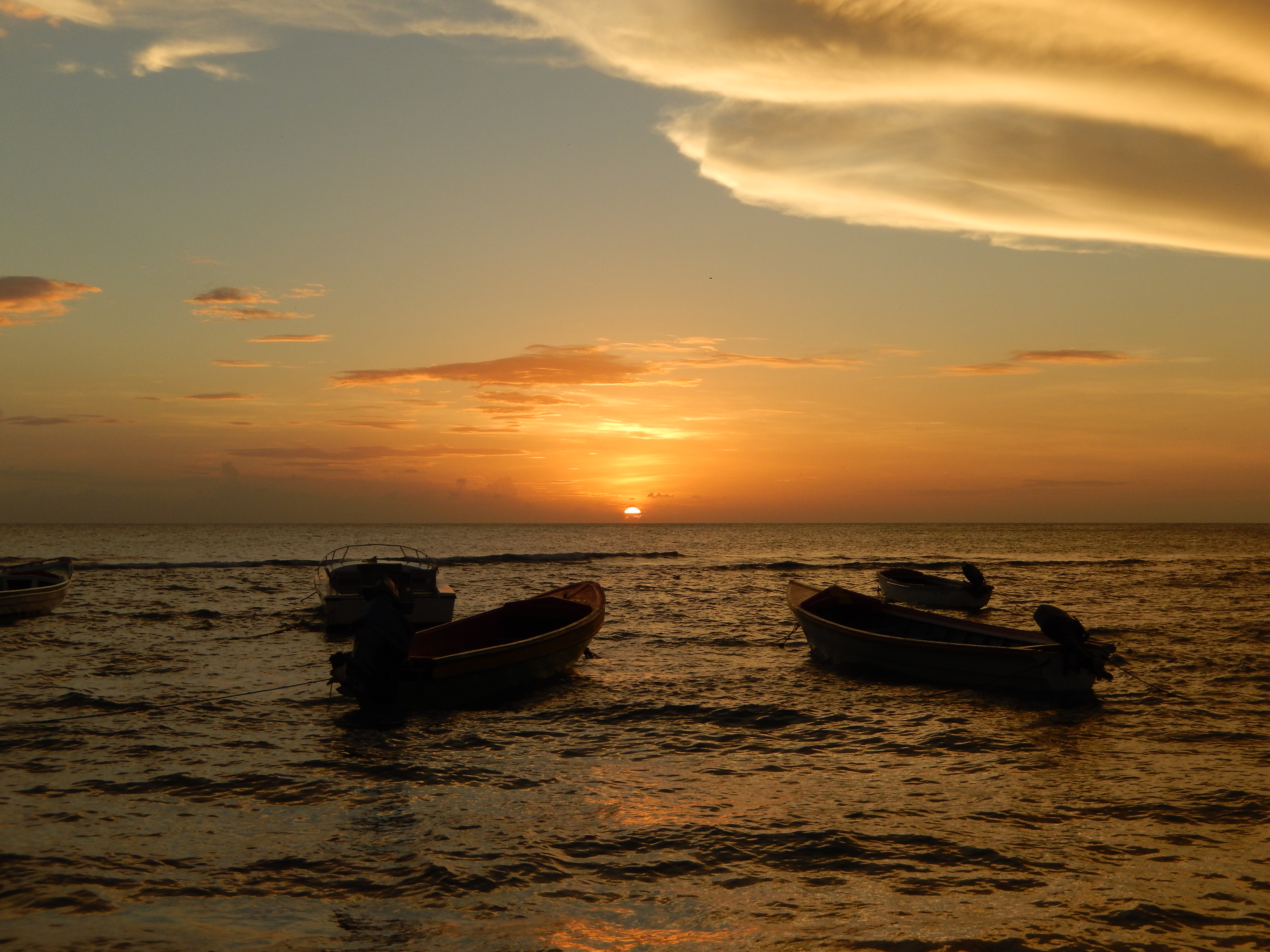 Name:  Jamaica 11-11-13 - Treasure Beach - 1289.JPG
Views: 14182
Size:  3.61 MB