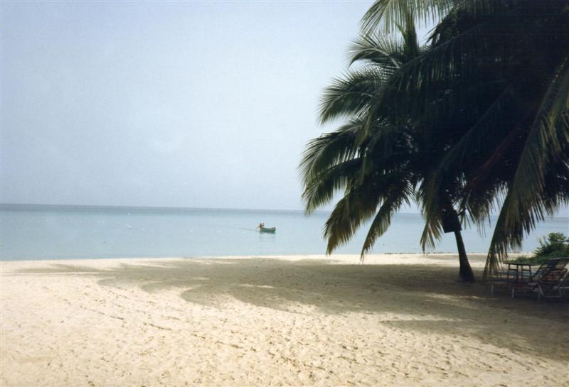 Name:  Crystal Waters (Medium).JPG
Views: 855
Size:  49.8 KB