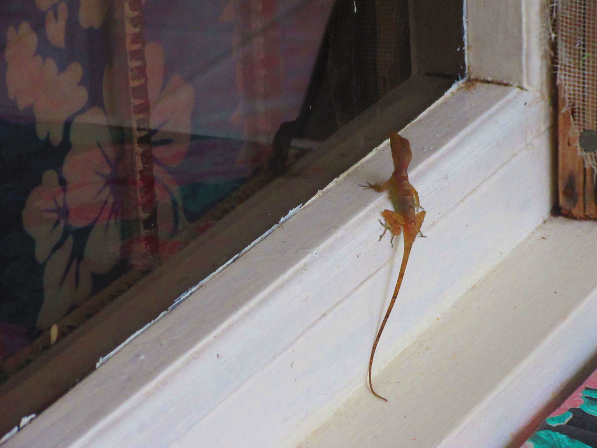 Name:  20200109141046.JPG
Views: 987
Size:  656.4 KB