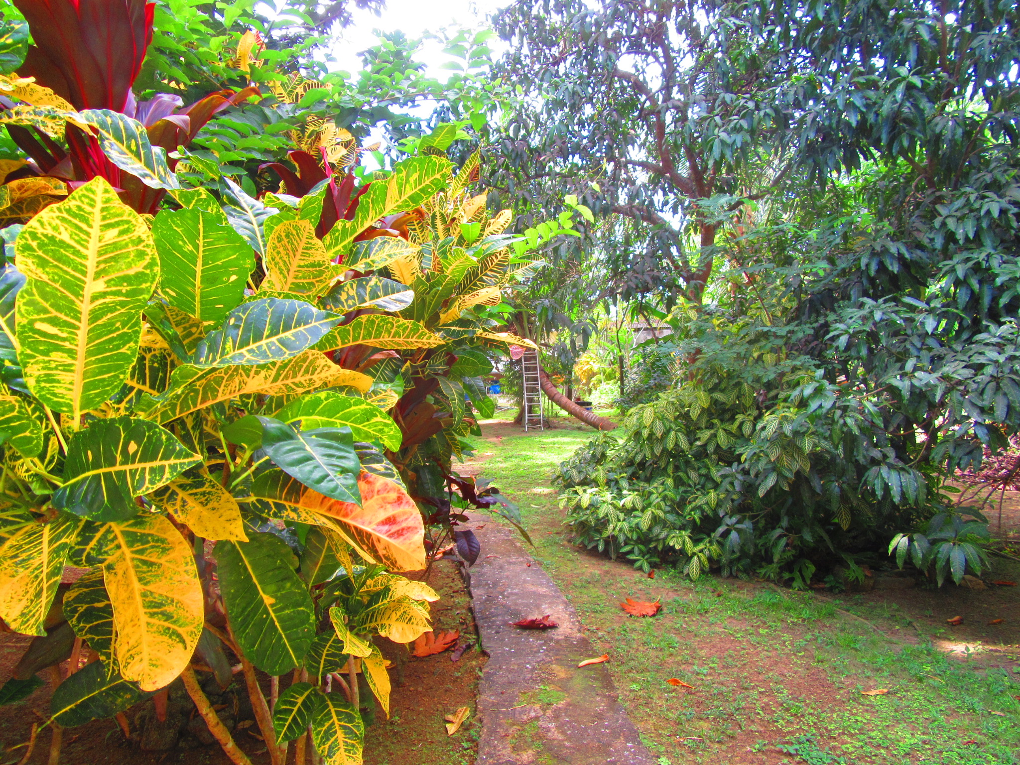 Name:  20200111133014.JPG
Views: 1192
Size:  1.69 MB