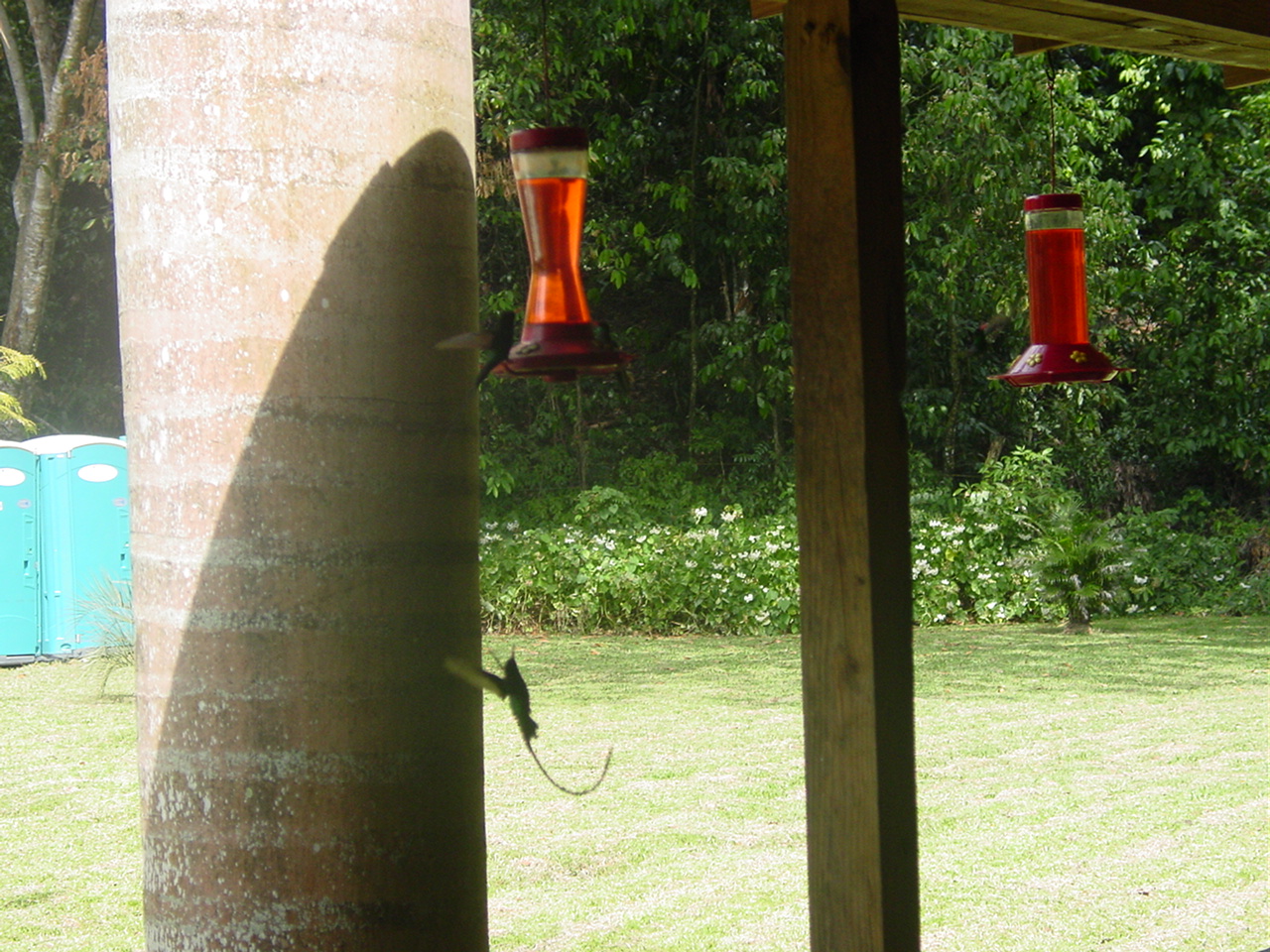 Name:  Jamaica 2008 004.jpg
Views: 637
Size:  556.0 KB
