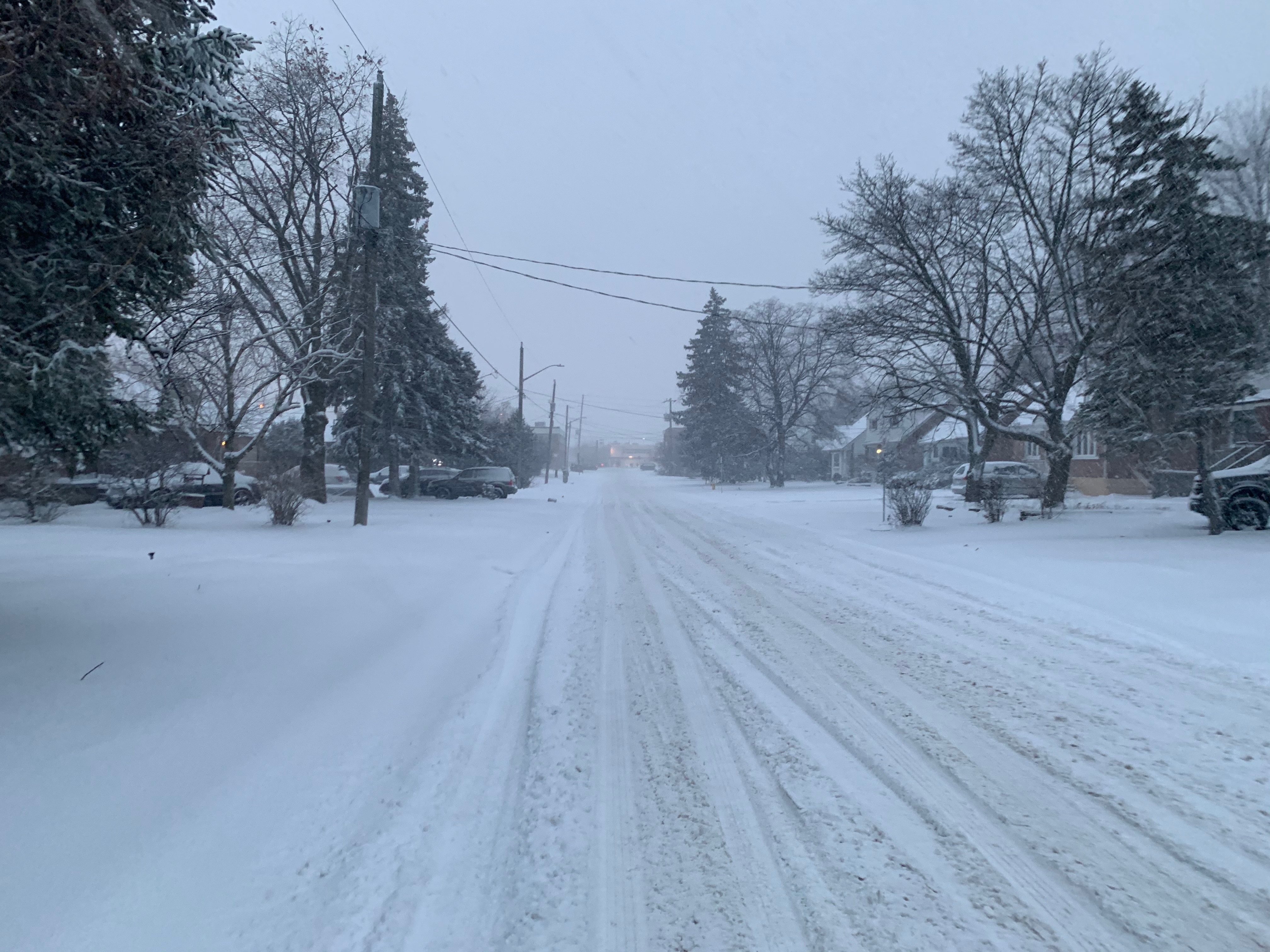 Name:  snow.jpg
Views: 781
Size:  2.49 MB