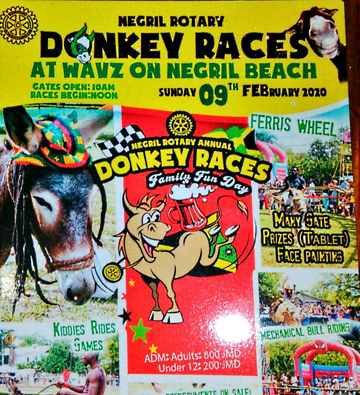 Name:  donkey1.jpg
Views: 522
Size:  265.4 KB