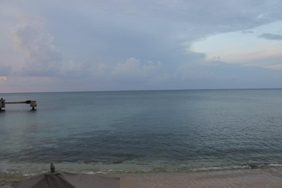 Name:  12.jpg
Views: 400
Size:  48.3 KB